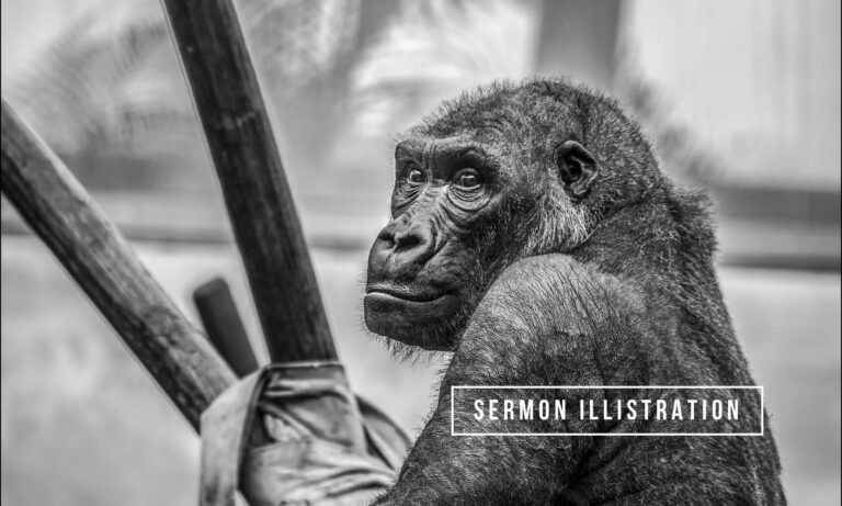 Monkeys and a Pole (Sermon Illustration)